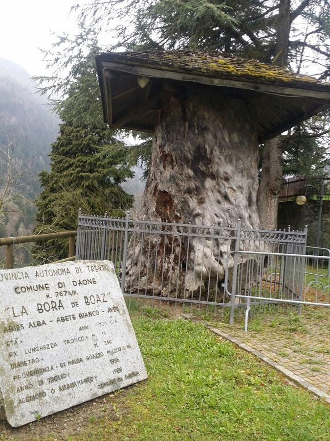 Albergo La Valle Даоне Екстериор снимка