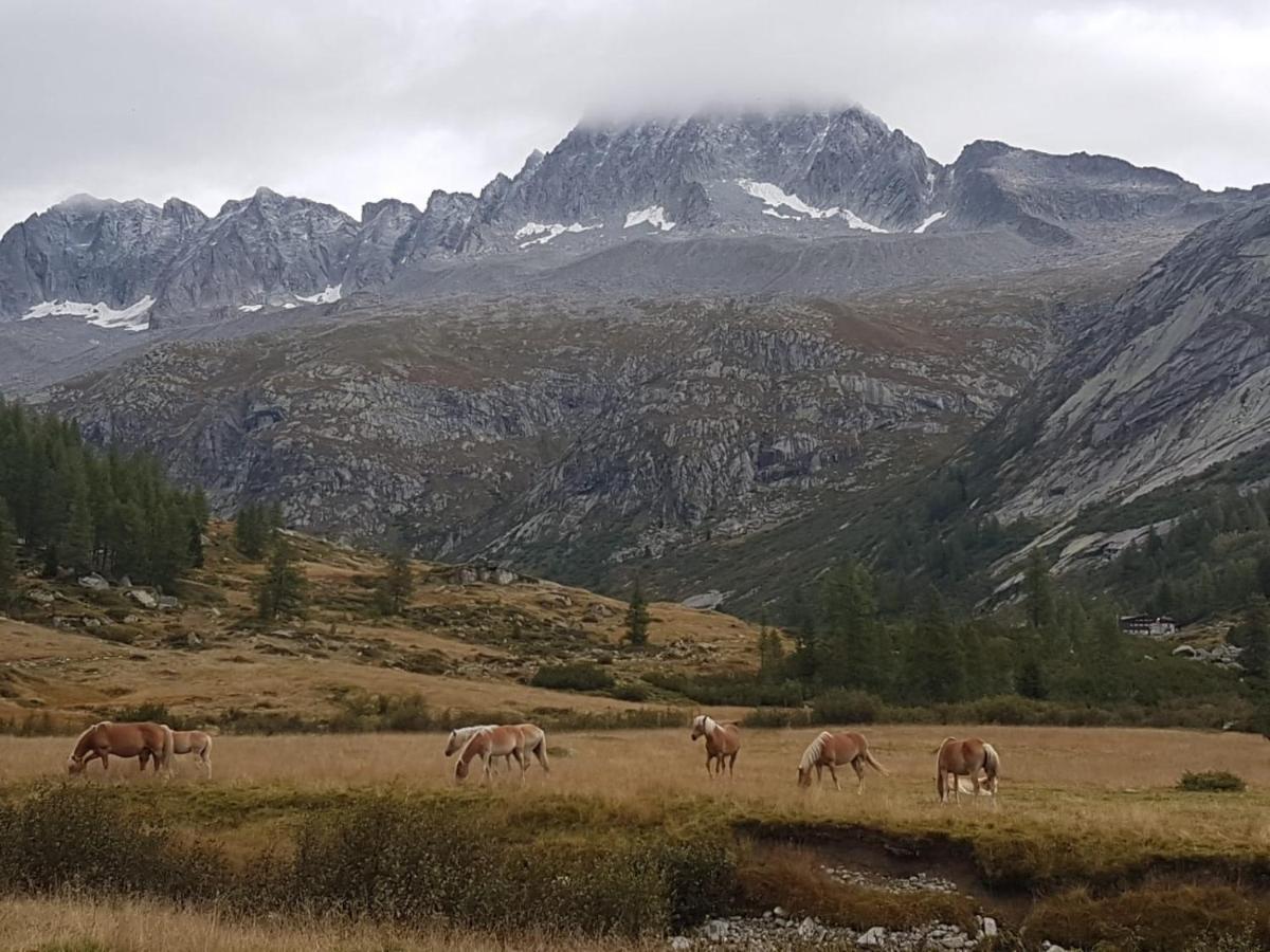 Albergo La Valle Даоне Екстериор снимка